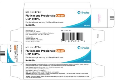 60g Carton (60g Carton)